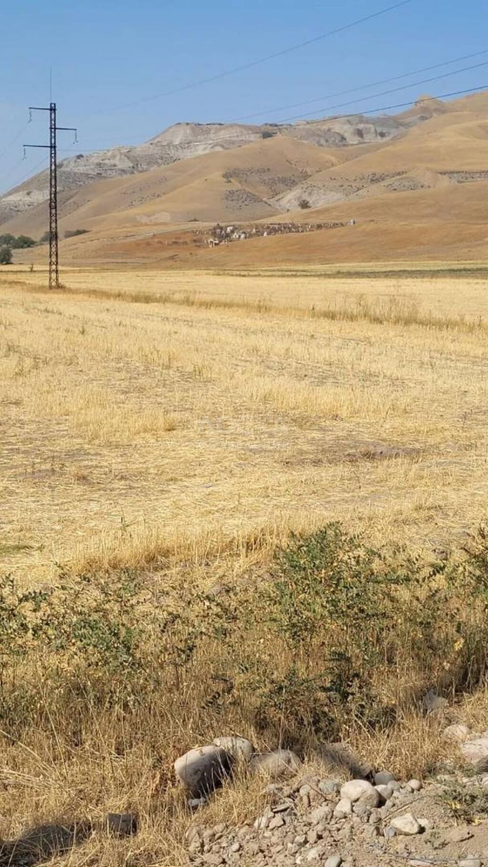 Продаю участок сельхоз назначения, 1.5 га с. Бешкунгей.