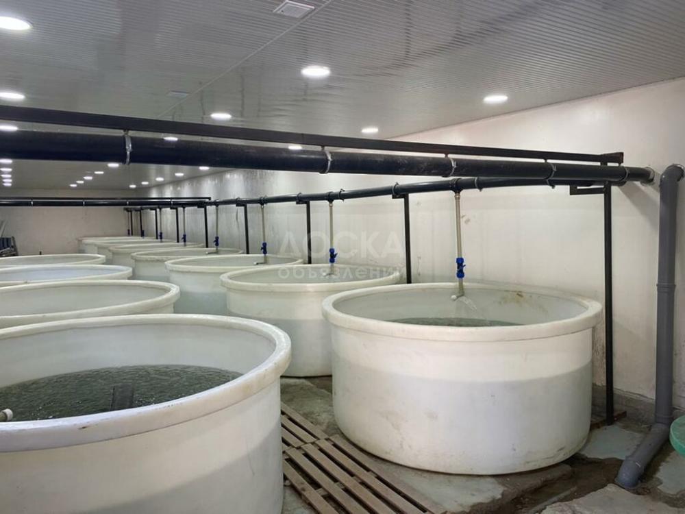 Продаю производственное помещение 300кв. м., Токмок.