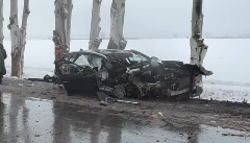 На дороге Бишкек—аэропорт «Манас» машина врезалась в дерево. Видео