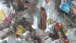 Житель просит создать пункты приема бытовых отходов в Бишкеке