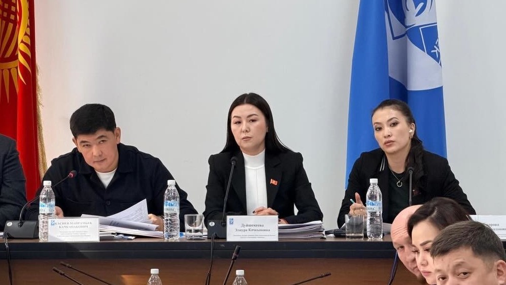 Комиссия БГК по бюджету и инвестициям