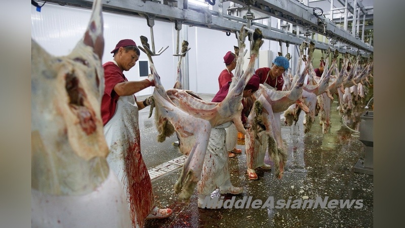 Mongolia exports over 85,000 tons of meat and meat products in 2025