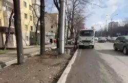 Спиленные ветви, закрывавшие вход в магазин на проспекте Чуй, убраны