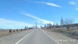 Житель предлагает посадить саженцы грецкого ореха вдоль дороги к комплексу «Ата-Бейит»