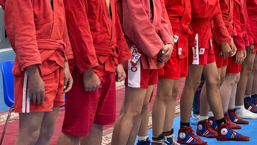 Иллюстрациялык сүрөт