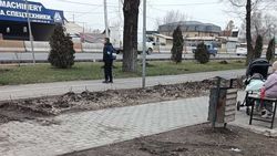 На проспекте Дэн Сяопина машины столи на тротуаре новой аллеи и на зеленой зоне. В мэрии ответили
