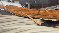 Ещё один горожанин показал последствия утреннего ветра в Бишкеке. Видео