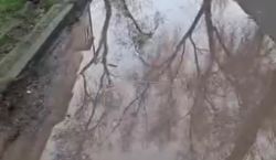 По адресу Нарвская 80 огромные лужи после дождя