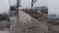 В мэрии ответили на жалобу горожанина на состояние дороги в Лебединовке