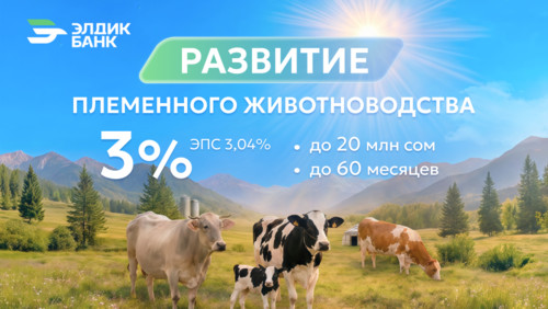 Племенное животноводство: кредит под 3% в Элдик Банке