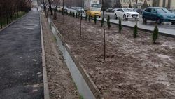 Горожанин поделился кадрами новой зеленой зоны на Фрунзе—Суюмбаева