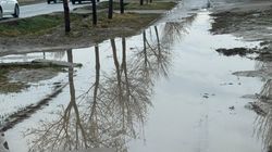 На тротуаре на Чортекова—Жайыл Баатыра больше лужи после дождя. Житель просит отремонтировать дорогу