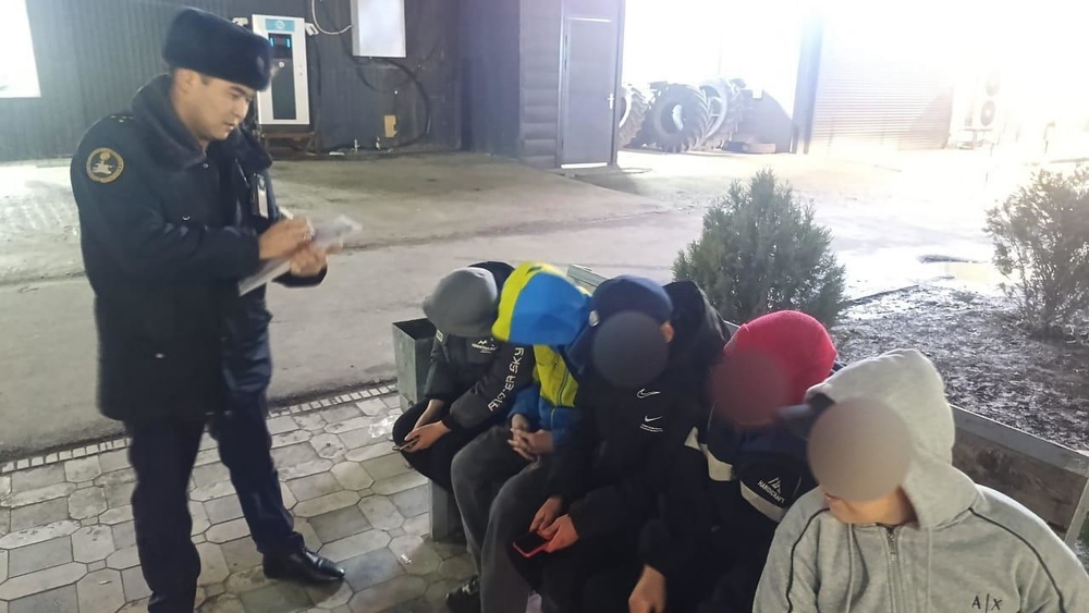 Иллюстративное фото