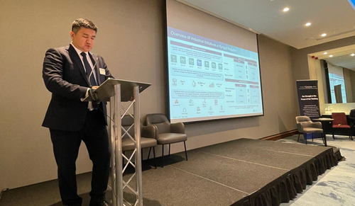 Критические Минералы