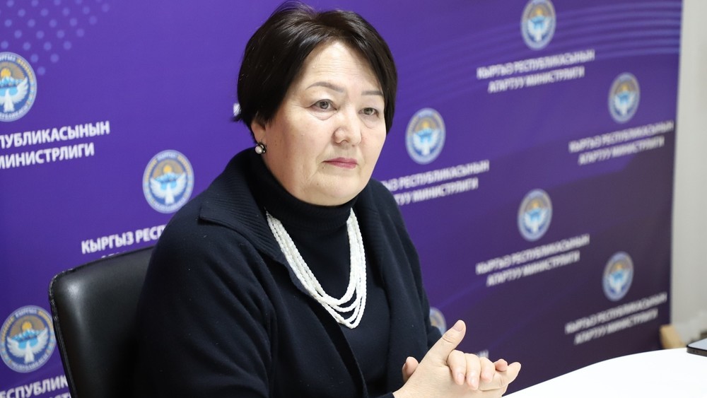 Догдуркуль Кендирбаева