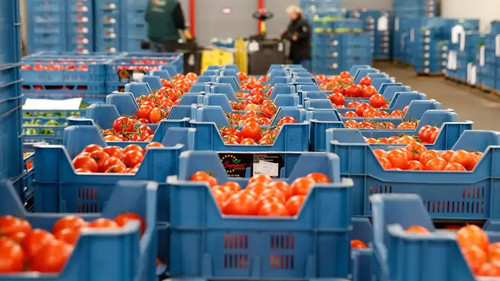 Пищевая Промышленность