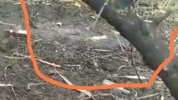 Родители учащихся просят огородить яму канализации возле школы в селе Александровка Родители учащихся просят огородить яму канализации возле школы в селе Александровка