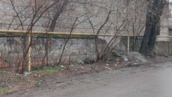 Мэрия ответила на просьбу горожанина установить знак «Стоянка запрещена» на ул. Куренкеева