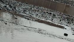 «Когда отремонтируют дорогу в селе Новопокровка?», - житель села «Когда отремонтируют дорогу в селе Новопокровка?», - житель села