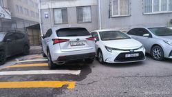 Водитель «Лексуса» перекрыл пешеходный переход возле школы №95