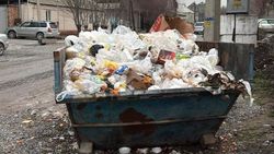 В селе Александровка месяц не вывозят мусор, - житель