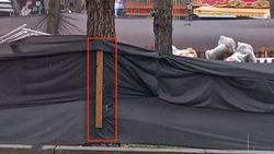 В парке Панфилова балку ограждения забили гвоздями в дерево. Оштрафован субарендатор