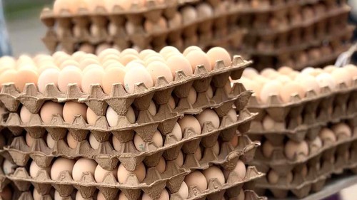 сезонный фактор