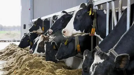 льготные кредиты