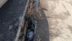 На Мусы Джалиля—Буденного разбитый тротуар, лужи и грязь, арыки забиты мусором