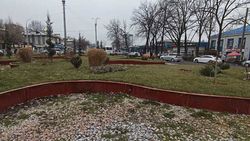 Бишкекчанин просит мэрию озеленить участок на Чуй—Фучика Бишкекчанин просит мэрию озеленить участок на Чуй—Фучика