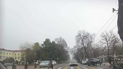 В мэрии ответили на предложение горожанина построить надземный пешеходный мост возле КНУ