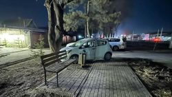 В ГУВД Бишкека направлен запрос — УПСМ о машинах, припаркованных на зеленой зоне на пр. Дэн Сяопина