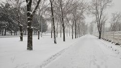 «39 февраля». В Бишкеке идет снег. Видео горожанки