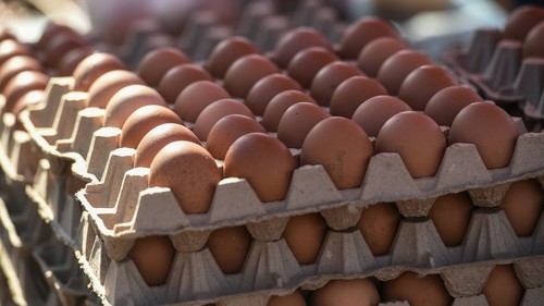 уран чекирбаев