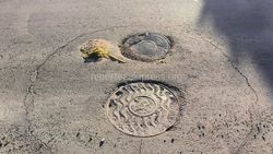 Мэрия: Люк на Суванбердиева—Шукурова находится в ведении газовой службы