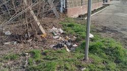 Бишкекчанин жалуется на грязь и мусор на Мусы Джалиля—Пархоменко