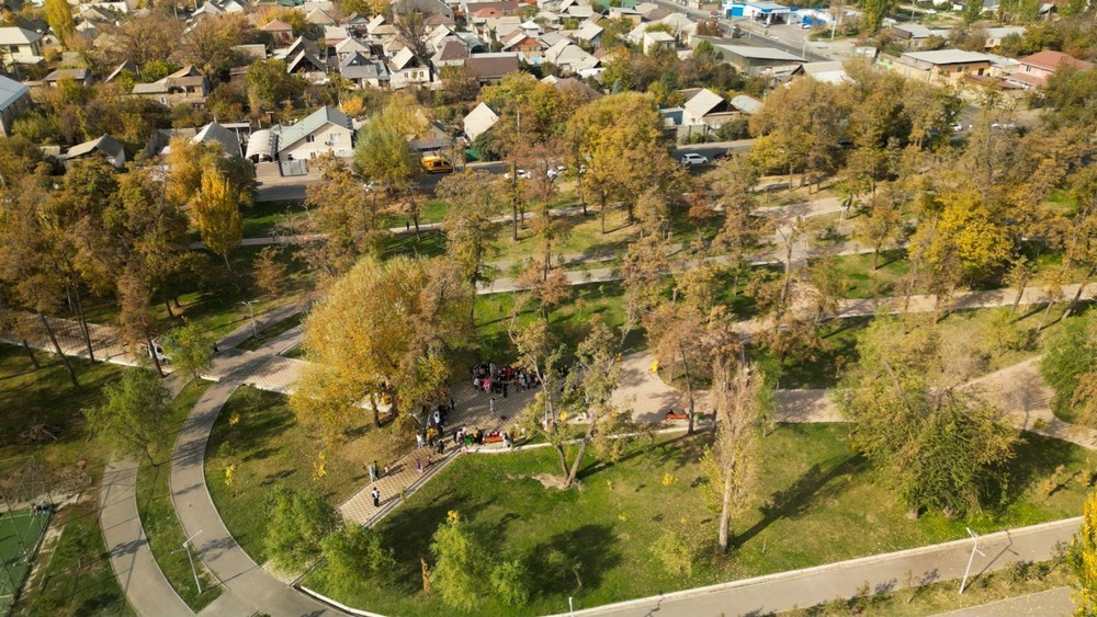 Иллюстративное фото