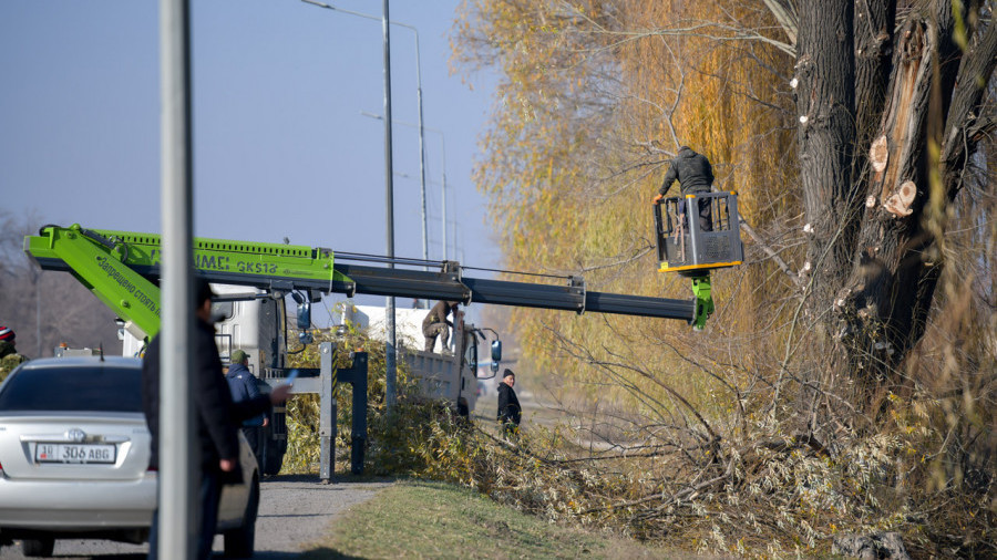 Иллюстративное фото