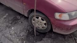 На улице Токтогула машина припарковалась на лунке нового саженца