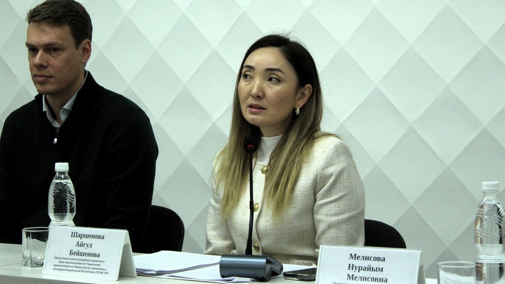заведующая отделом разработки проектов в сфере промышленности Управления промышленности Минэкономики, Айгул Шаршенова,
