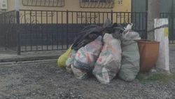 Жители сел Садовое и Александровка Чуйской области просят забрать мешки с мусором на их улицах