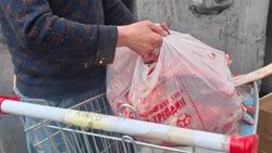 Мужчина выбрасывал в мусорный контейнер очищенные от мяса кости в Джале