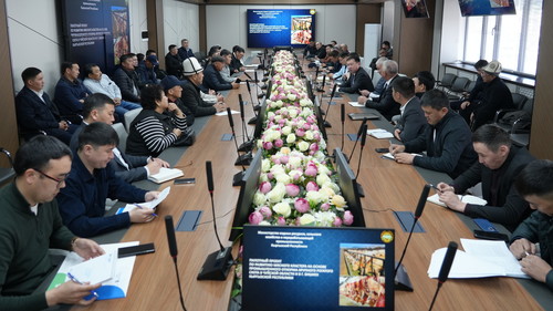 откорм скота