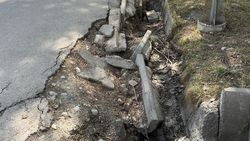 Горожанин жалуется на состояние арыка и тротуара в парке Победы