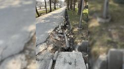 Тротуар в парке Победы отремонтируют частично, ремонт арыков не предусмотрен, - мэрия