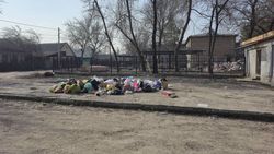 Ответ мэрии на просьбу вернуть мусорные контейнеры на Рижская—Варшавская