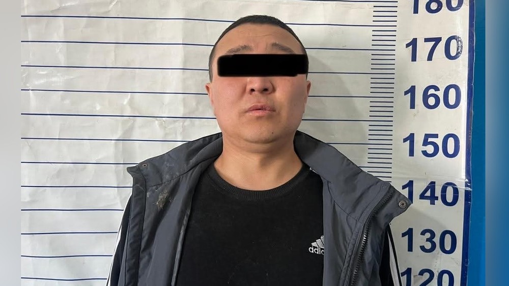 Подозреваемый Н.С.