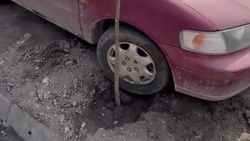 УПСМ ответило по машине, припаркованной на лунке саженца на улице Токтогула