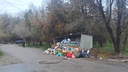 Мусор в парке имени Ататюрка не убирается больше двух недель, - житель