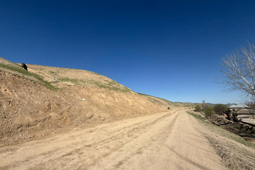 сузакский район